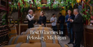Elegant winery tasting room in Petoskey, Michigan with visitors enjoying wine and greenery